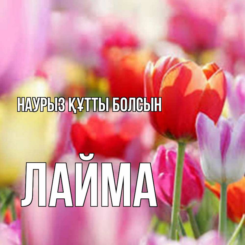 Открытка на каждый день с именем, Лайма Наурыз құтты болсын на наурыз  2 Прикольная открытка с пожеланием онлайн скачать бесплатно 