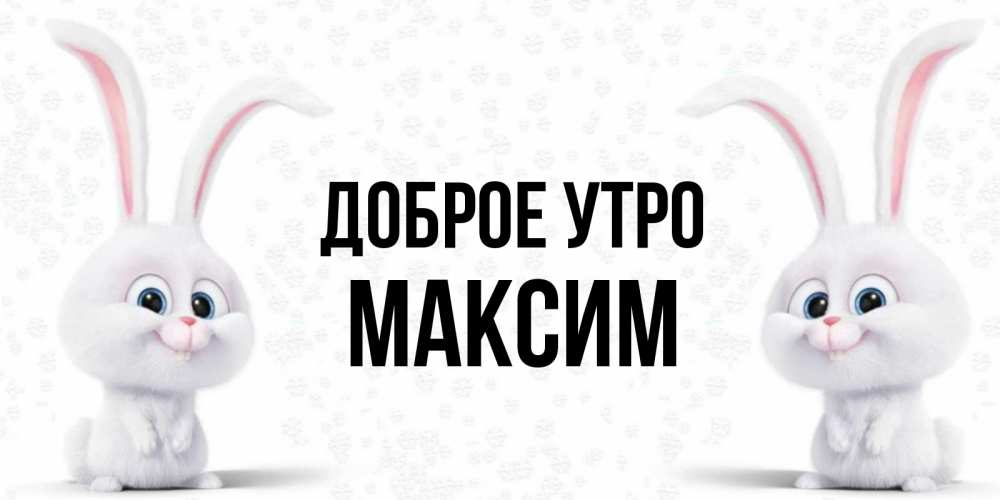 Открытка на каждый день с именем, Максим Доброе утро кролики с длинными ушками Прикольная открытка с пожеланием онлайн скачать бесплатно 