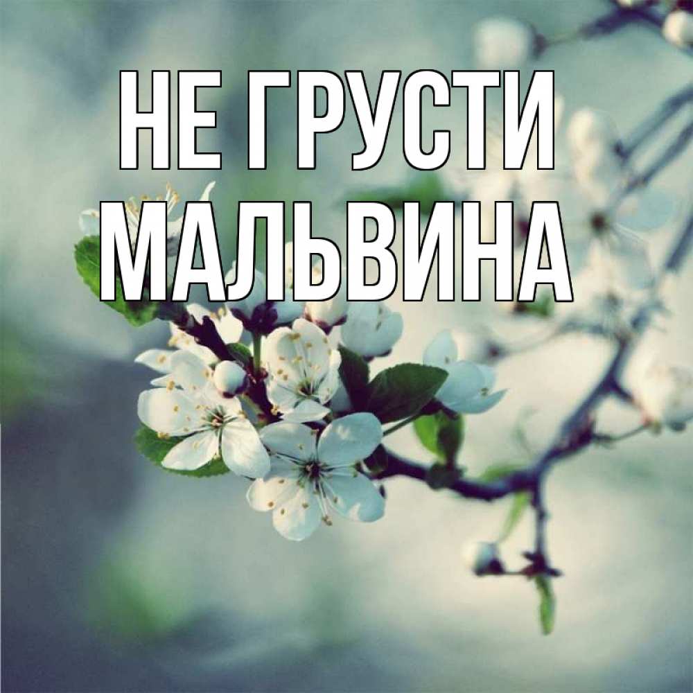 Открытка на каждый день с именем, Мальвина Не грусти яблоня в цвету 1 Прикольная открытка с пожеланием онлайн скачать бесплатно 