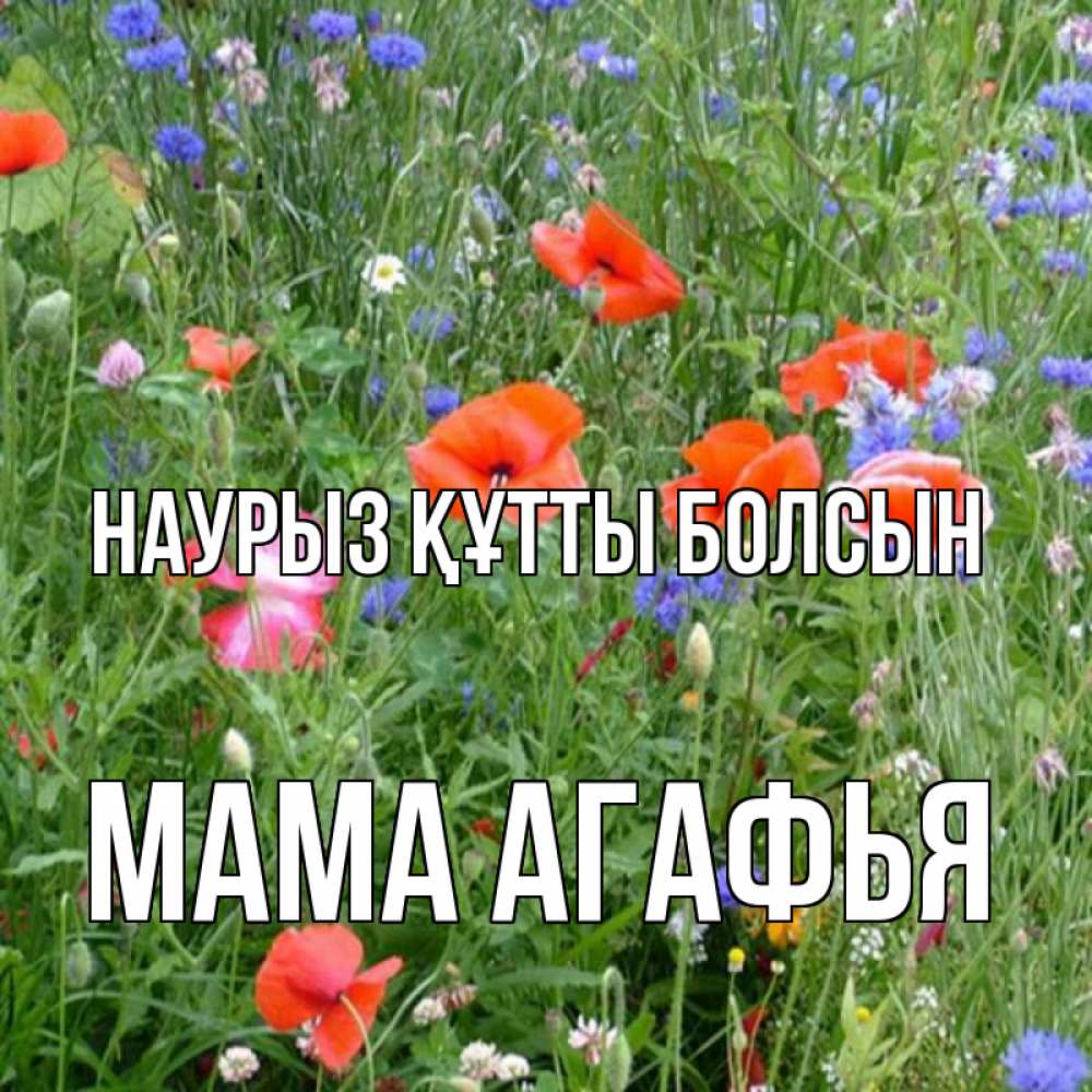 Открытка на каждый день с именем, Мама-Агафья Наурыз құтты болсын наурыз  4 Прикольная открытка с пожеланием онлайн скачать бесплатно 