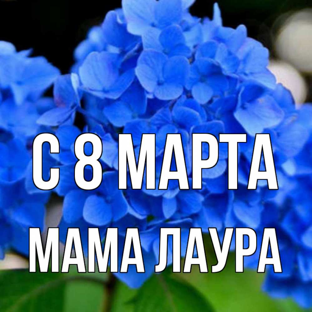 Открытка на каждый день с именем, Мама-Лаура С 8 МАРТА синие цветы Прикольная открытка с пожеланием онлайн скачать бесплатно 