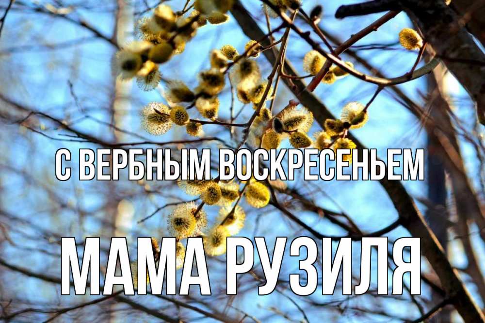 Открытка на каждый день с именем, Мама-Рузиля С вербным воскресеньем верба Прикольная открытка с пожеланием онлайн скачать бесплатно 