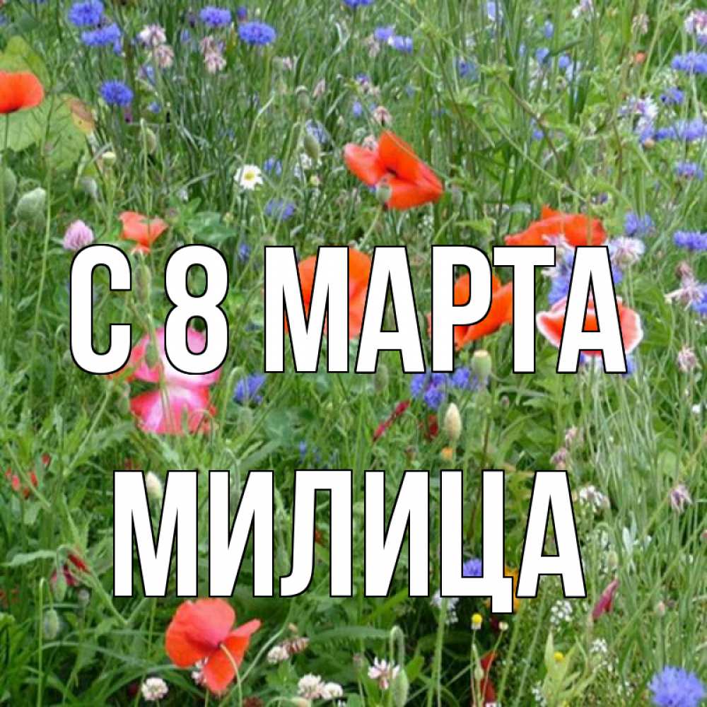 Открытка на каждый день с именем, Милица С 8 МАРТА международный женский день 4 Прикольная открытка с пожеланием онлайн скачать бесплатно 