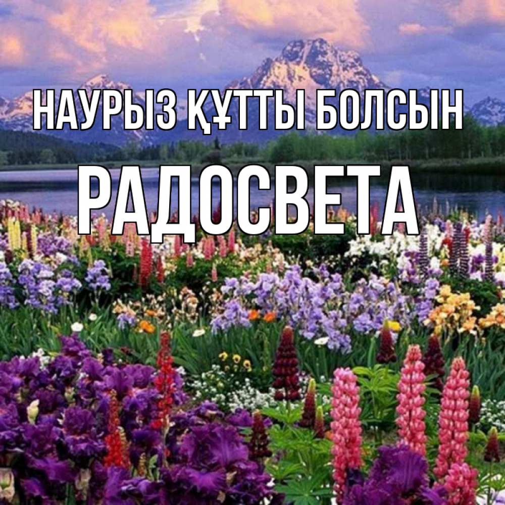 Открытка на каждый день с именем, Радосвета Наурыз құтты болсын наурыз Прикольная открытка с пожеланием онлайн скачать бесплатно 