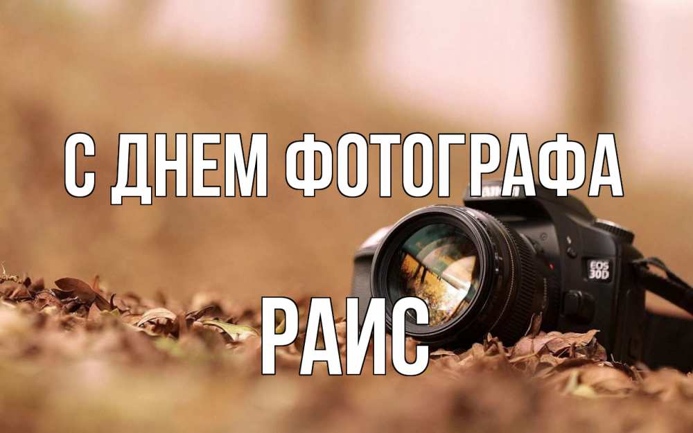 Открытка на каждый день с именем, Раис С днем фотографа с днем фотографа Прикольная открытка с пожеланием онлайн скачать бесплатно 