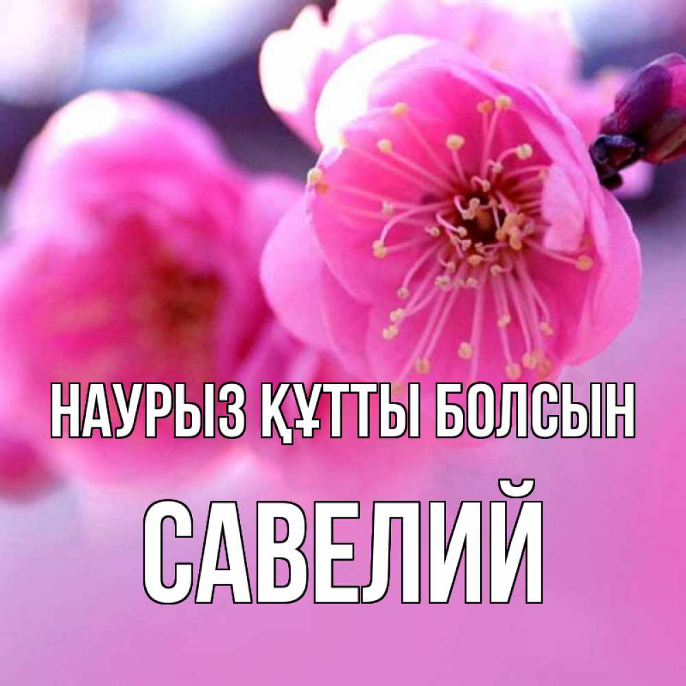 Открытка на каждый день с именем, Савелий Наурыз құтты болсын наурыз мейрам Прикольная открытка с пожеланием онлайн скачать бесплатно 