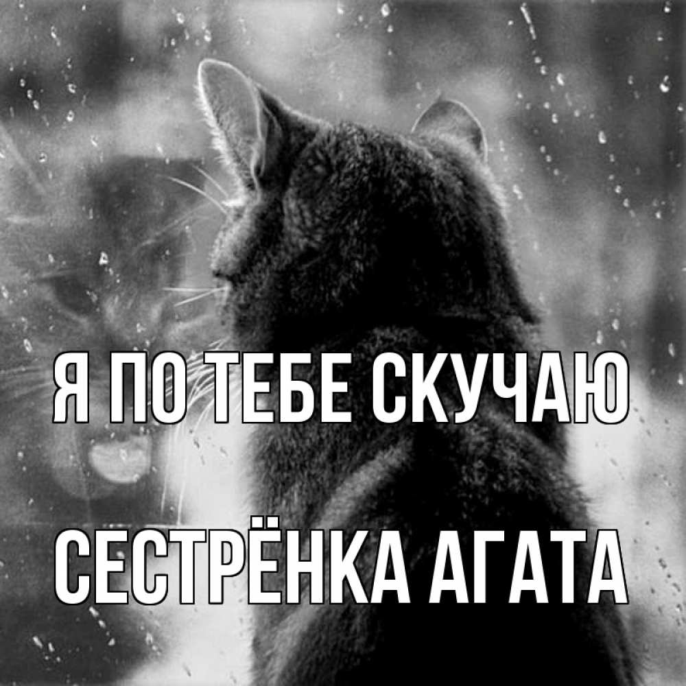 Открытка на каждый день с именем, Сестрёнка-Агата Я по тебе скучаю скорее ко мне приходи 1 Прикольная открытка с пожеланием онлайн скачать бесплатно 