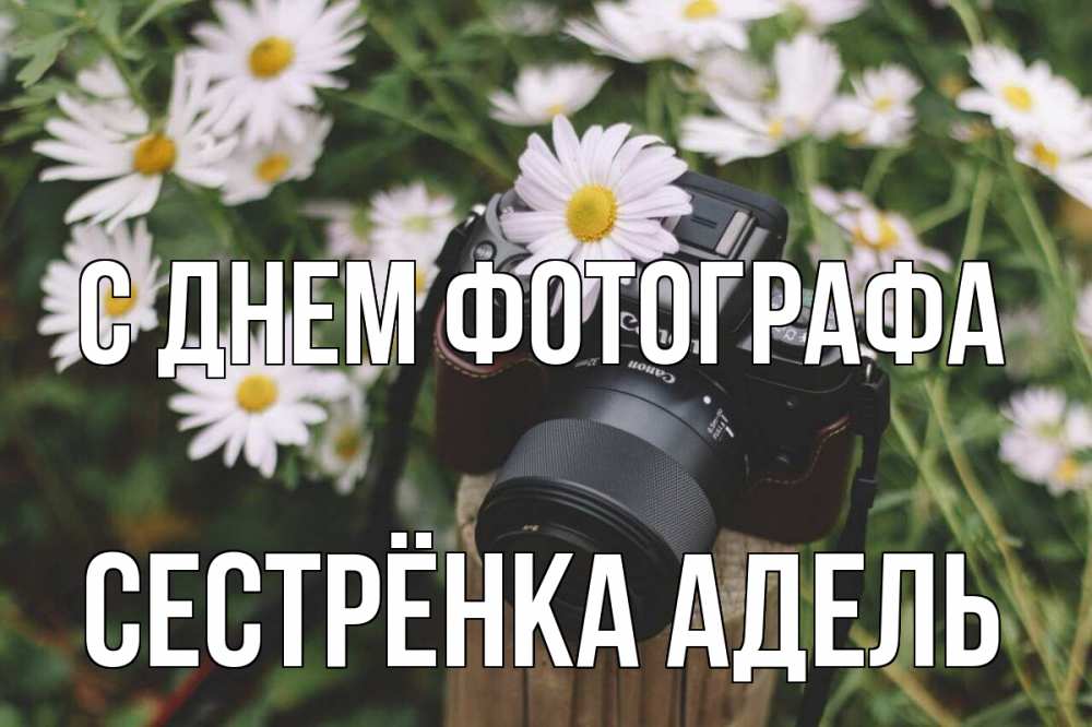 Открытка на каждый день с именем, Сестрёнка-Адель С днем фотографа с днем фотографа Прикольная открытка с пожеланием онлайн скачать бесплатно 