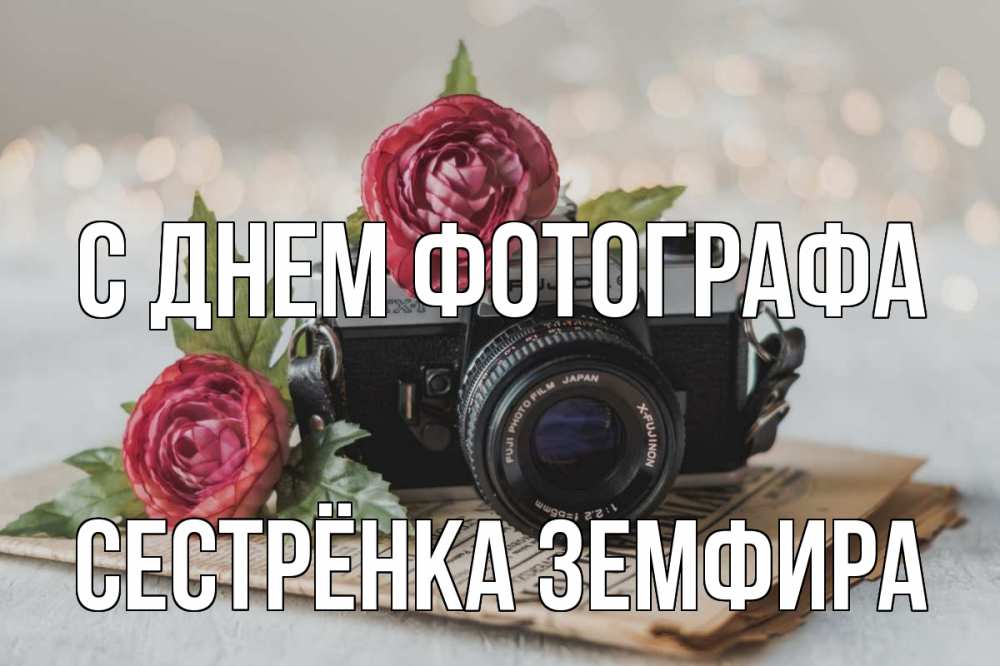 Открытка на каждый день с именем, Сестрёнка-Земфира С днем фотографа с днем фотографа Прикольная открытка с пожеланием онлайн скачать бесплатно 
