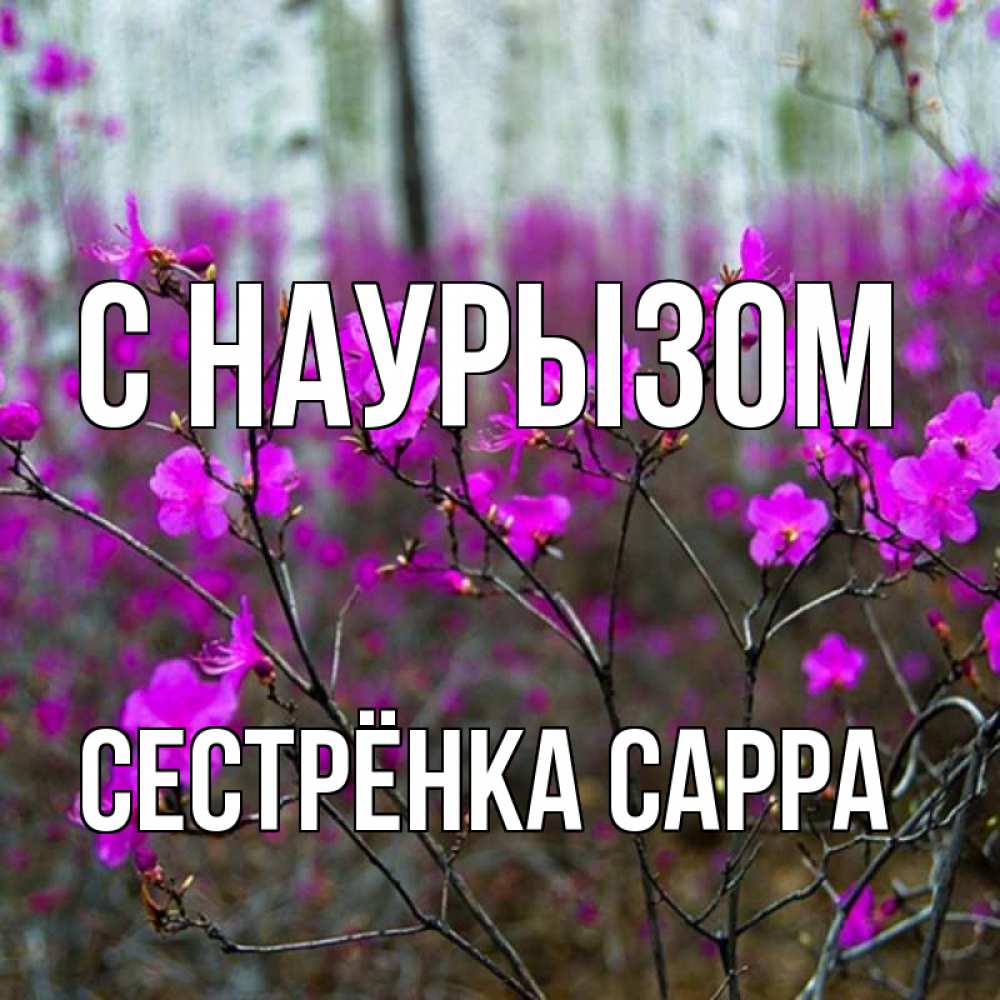 Открытка на каждый день с именем, Сестрёнка-Сарра С наурызом дикие цветы Прикольная открытка с пожеланием онлайн скачать бесплатно 