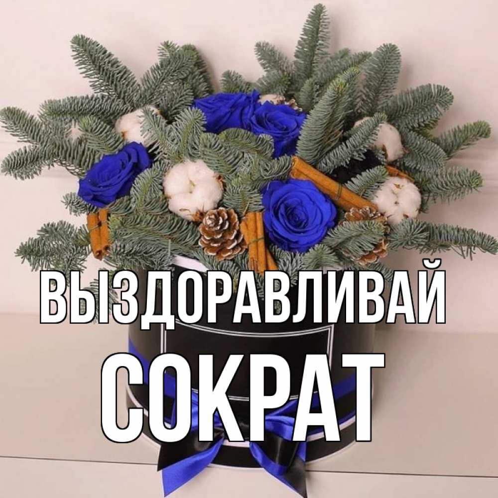 Открытка на каждый день с именем, Сократ Выздоравливай короче кто то загрузил эти шишки Прикольная открытка с пожеланием онлайн скачать бесплатно 