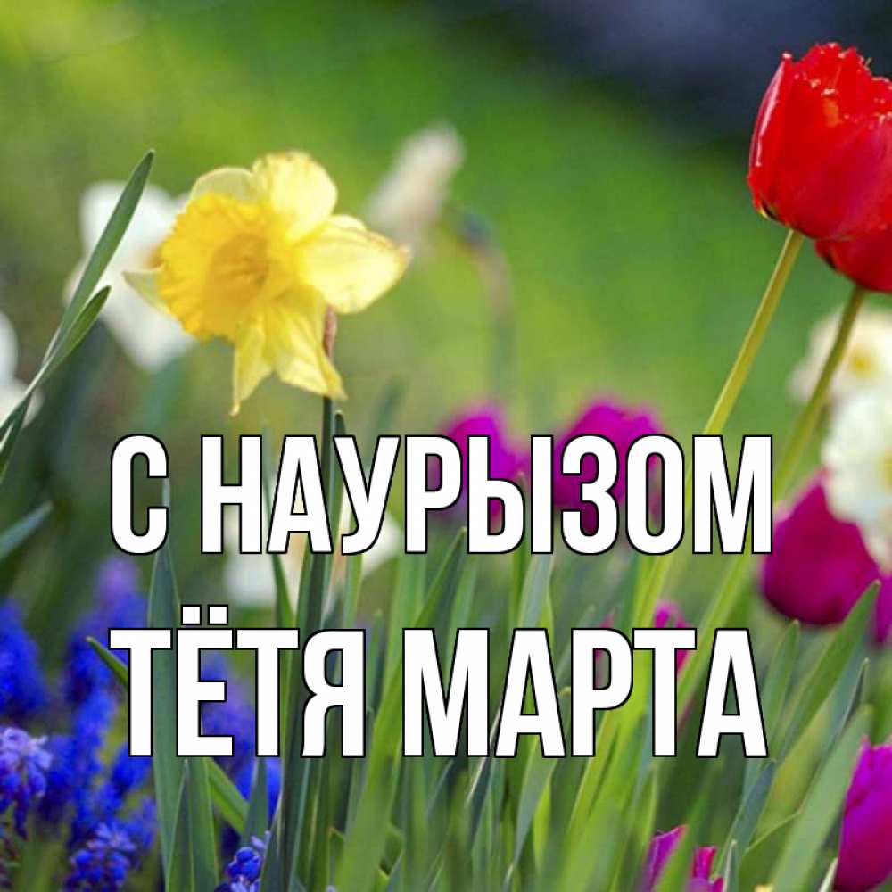 Открытка на каждый день с именем, Тётя-Марта С наурызом праздник весны наурыз 3 Прикольная открытка с пожеланием онлайн скачать бесплатно 