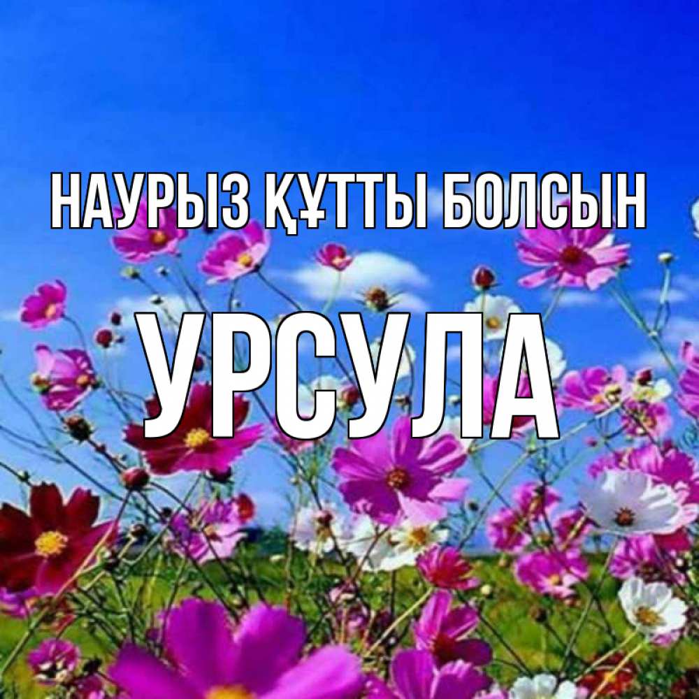 Открытка на каждый день с именем, Урсула Наурыз құтты болсын цветы Прикольная открытка с пожеланием онлайн скачать бесплатно 