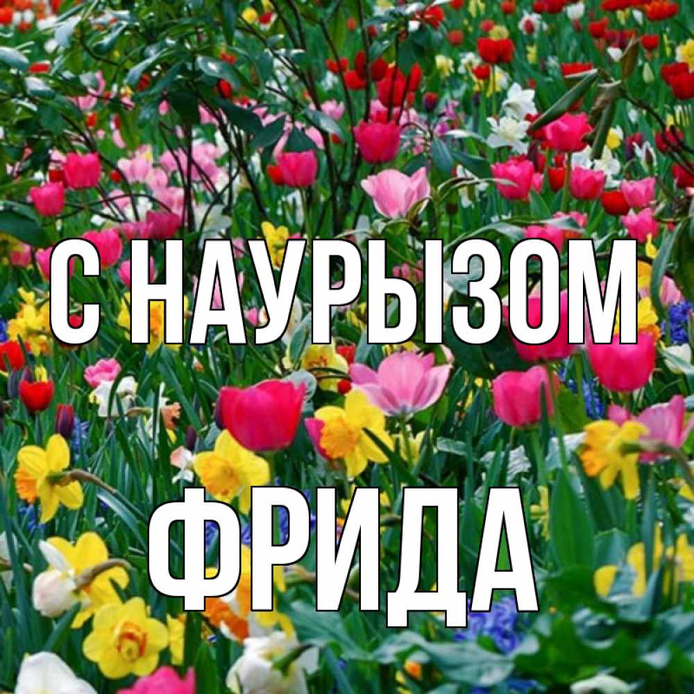 Открытка на каждый день с именем, Фрида С наурызом с наурызом праздником весны поздравления для женщины Прикольная открытка с пожеланием онлайн скачать бесплатно 