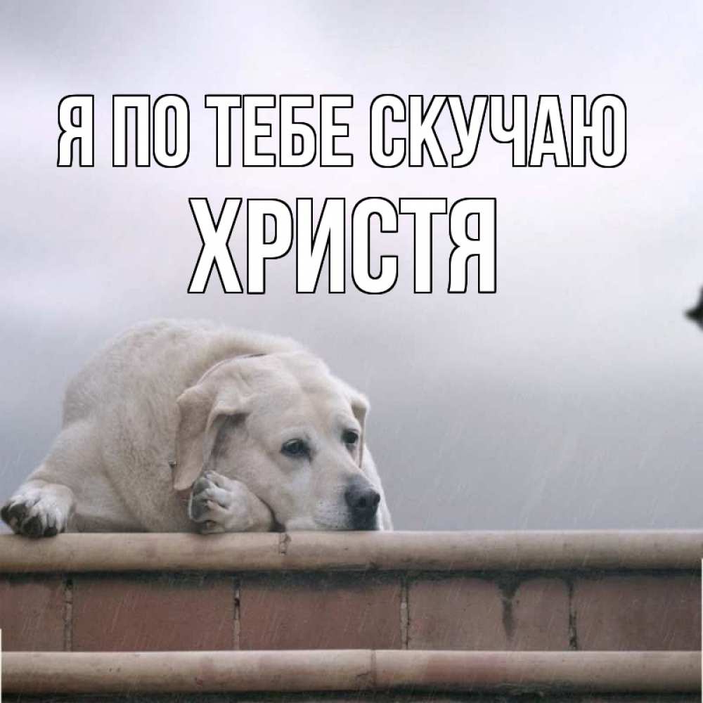 Открытка на каждый день с именем, Христя Я по тебе скучаю ждет Прикольная открытка с пожеланием онлайн скачать бесплатно 