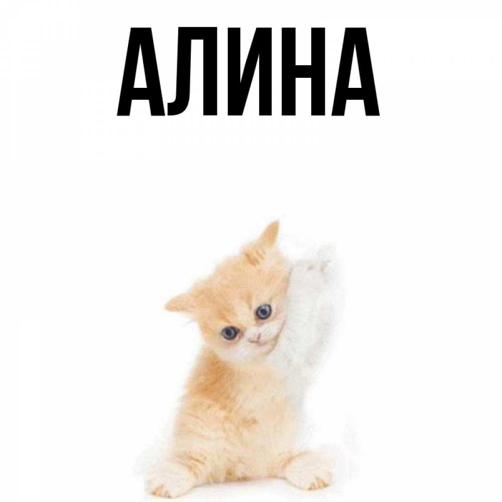Картинки на имя алина, днем
