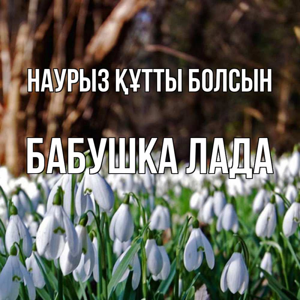 Открытка на каждый день с именем, Бабушка-Лада Наурыз құтты болсын с подснежниками 1 Прикольная открытка с пожеланием онлайн скачать бесплатно 