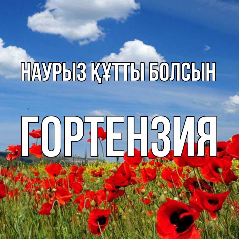 Открытка на каждый день с именем, Гортензия Наурыз құтты болсын наурыз  день 1 Прикольная открытка с пожеланием онлайн скачать бесплатно 