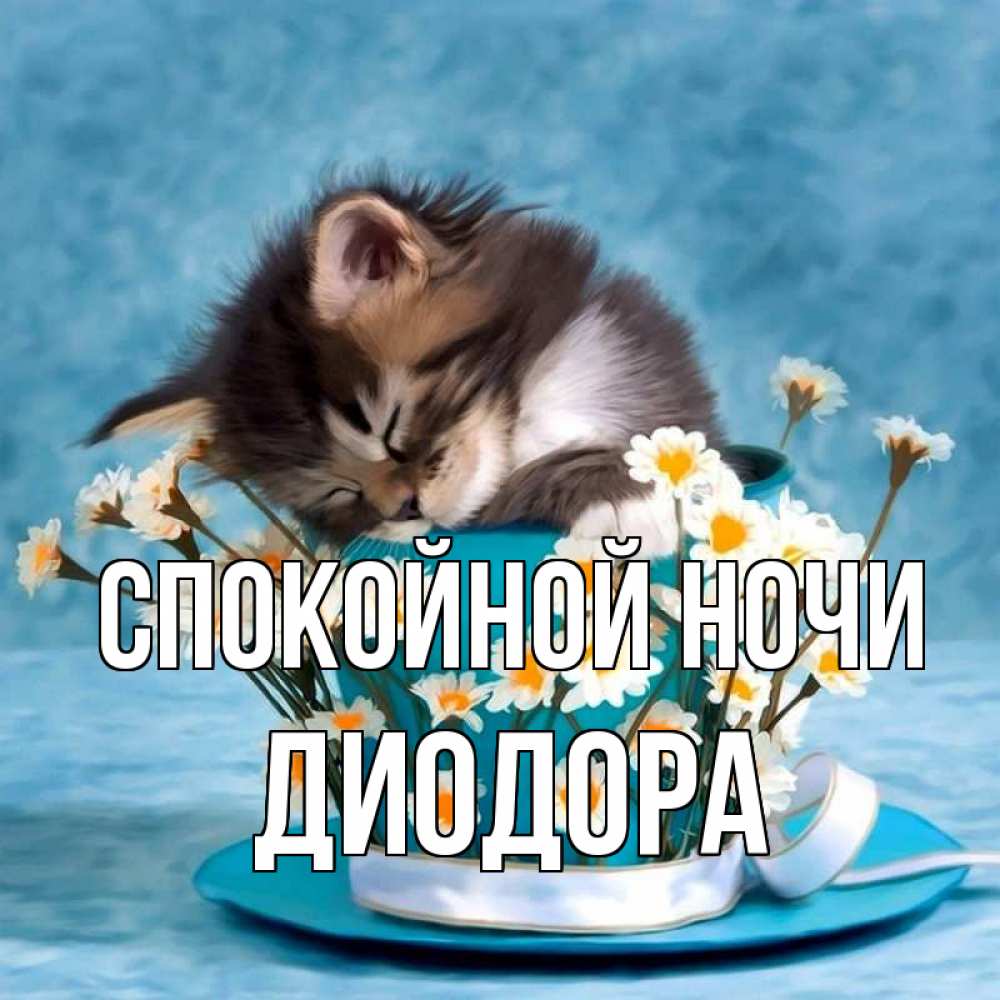 Открытка на каждый день с именем, Диодора Спокойной ночи котенок спит в кружке с блюдцем Прикольная открытка с пожеланием онлайн скачать бесплатно 