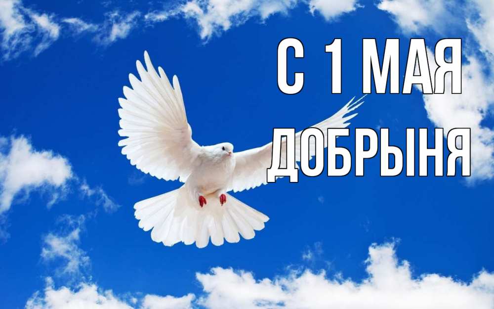 Открытка на каждый день с именем, Добрыня С 1 мая С 1 мая 1 Прикольная открытка с пожеланием онлайн скачать бесплатно 
