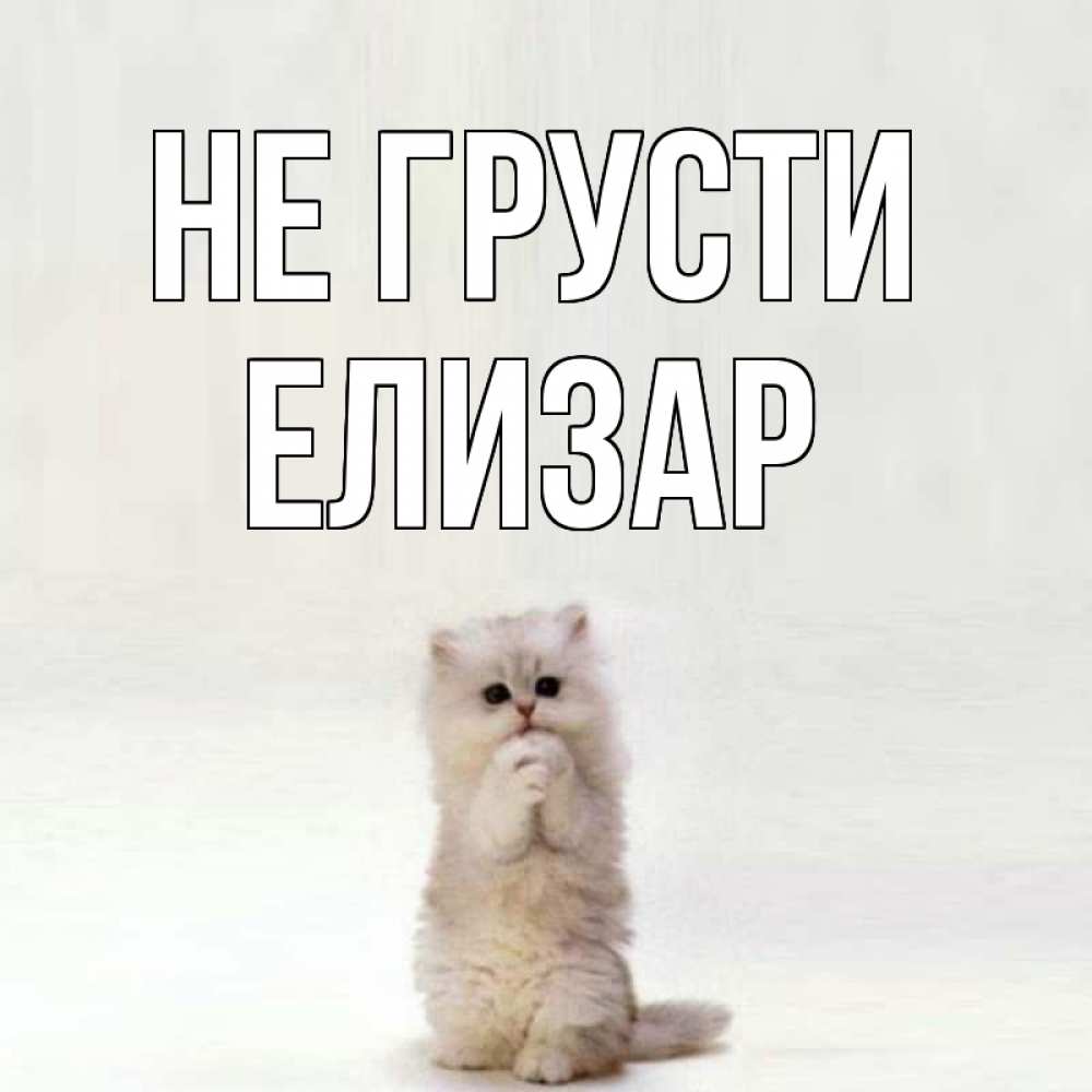 Открытка на каждый день с именем, Елизар Не грусти грустный кот Прикольная открытка с пожеланием онлайн скачать бесплатно 