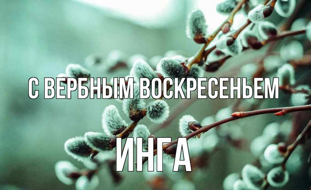 Открытка на каждый день с именем, Инга С вербным воскресеньем верба Прикольная открытка с пожеланием онлайн скачать бесплатно 