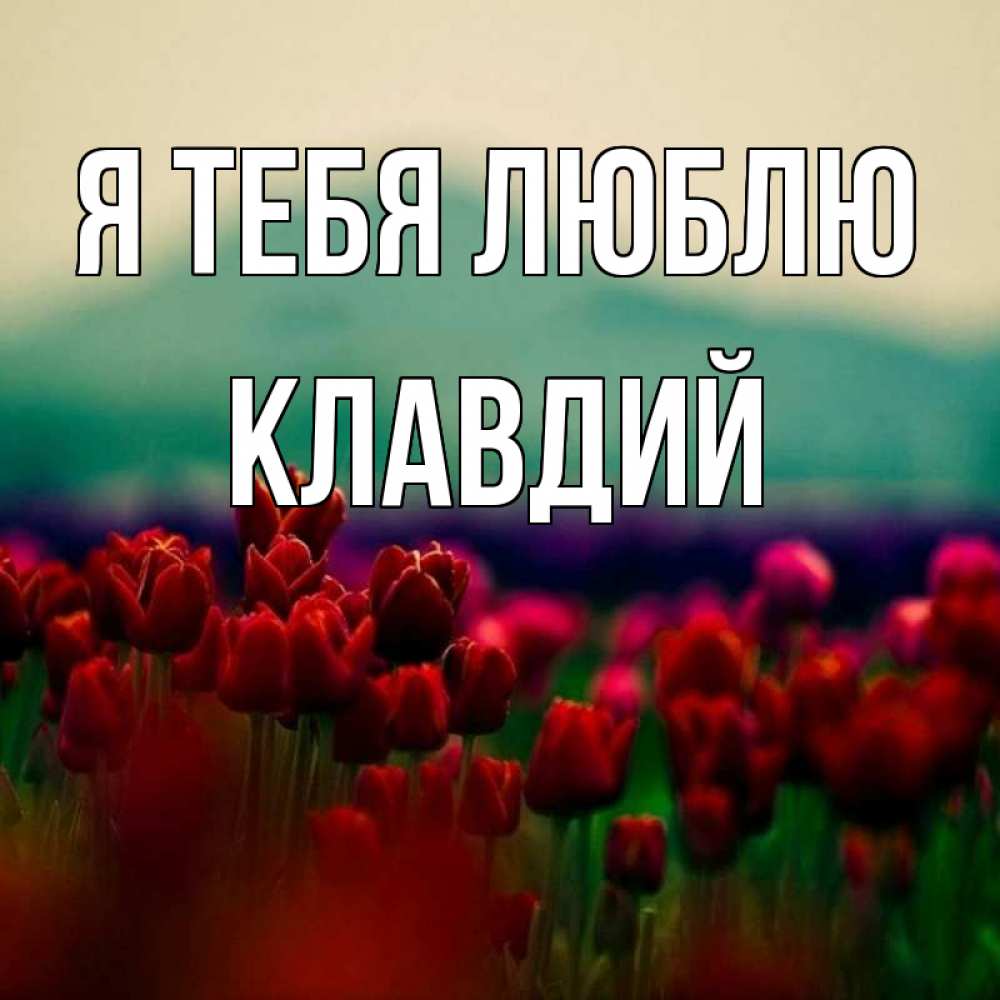 Открытка на каждый день с именем, Клавдий Я тебя люблю тюльпаны 4 Прикольная открытка с пожеланием онлайн скачать бесплатно 