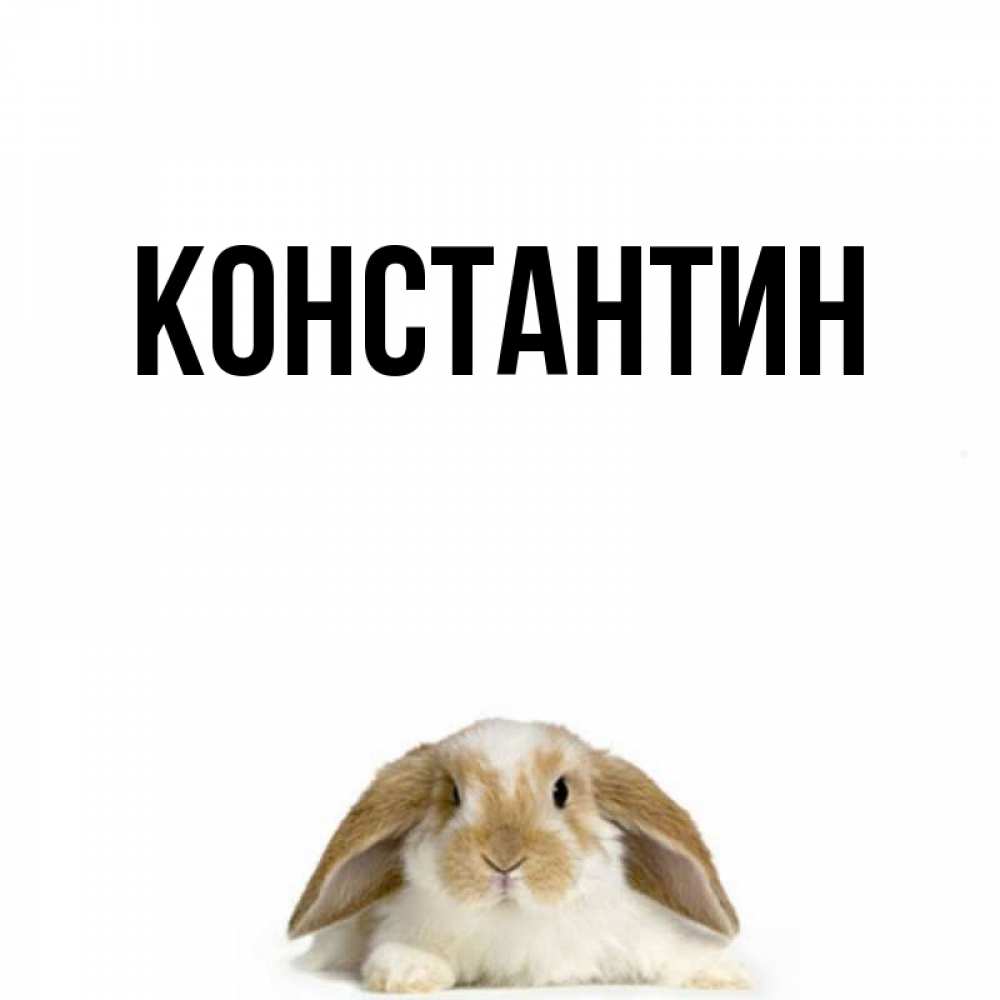 Открытка на каждый день с именем, Константин Главная открытки с произвольным текстом который можно вставить в открытку и создать ее самостоятельно бесплатно онлайн Прикольная открытка с пожеланием онлайн скачать бесплатно 