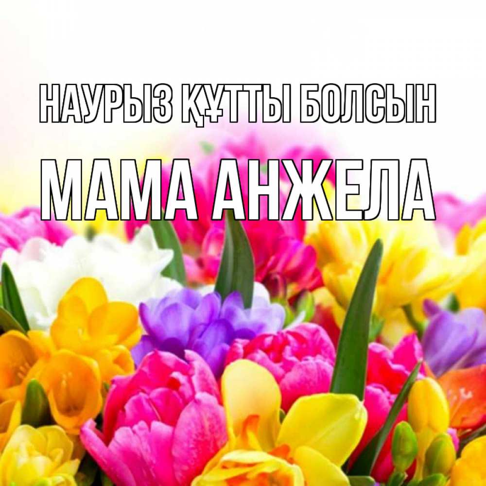 Открытка на каждый день с именем, Мама-Анжела Наурыз құтты болсын тюльпаны Прикольная открытка с пожеланием онлайн скачать бесплатно 