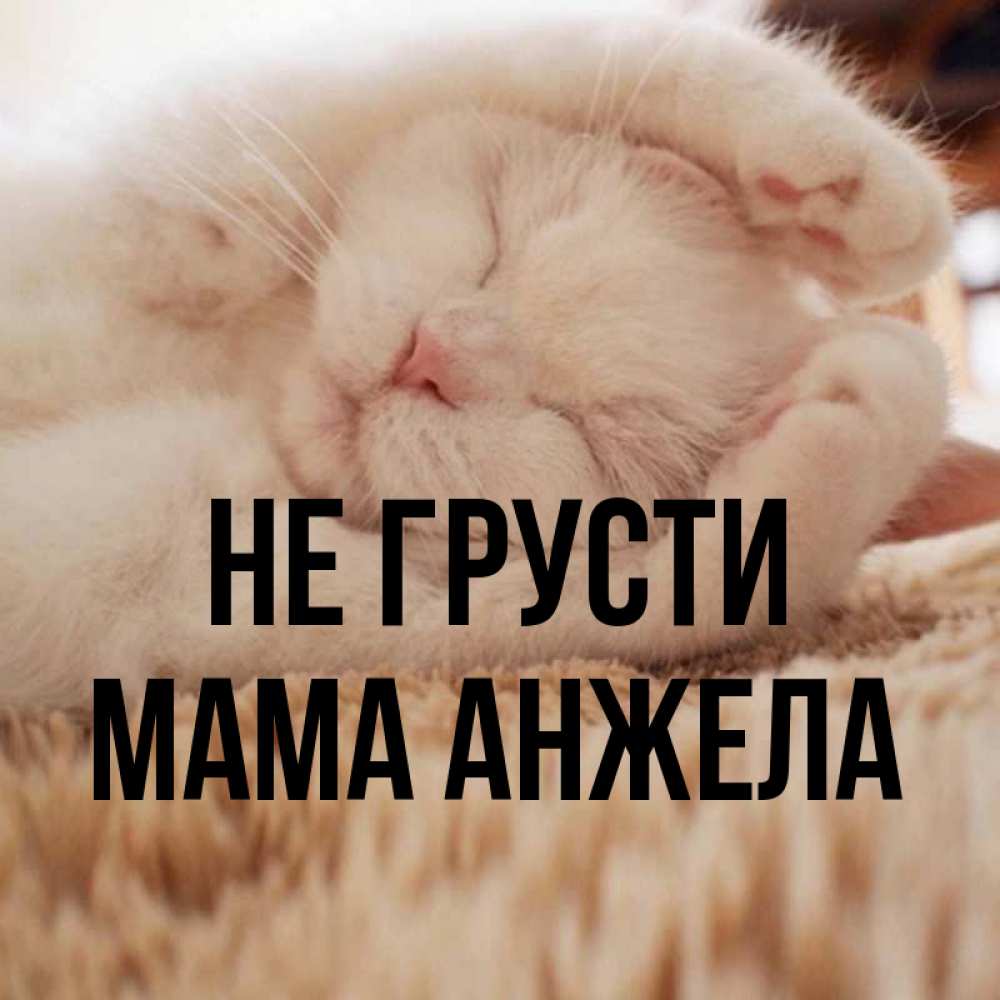 Открытка на каждый день с именем, Мама-Анжела Не грусти Котенок спит Прикольная открытка с пожеланием онлайн скачать бесплатно 