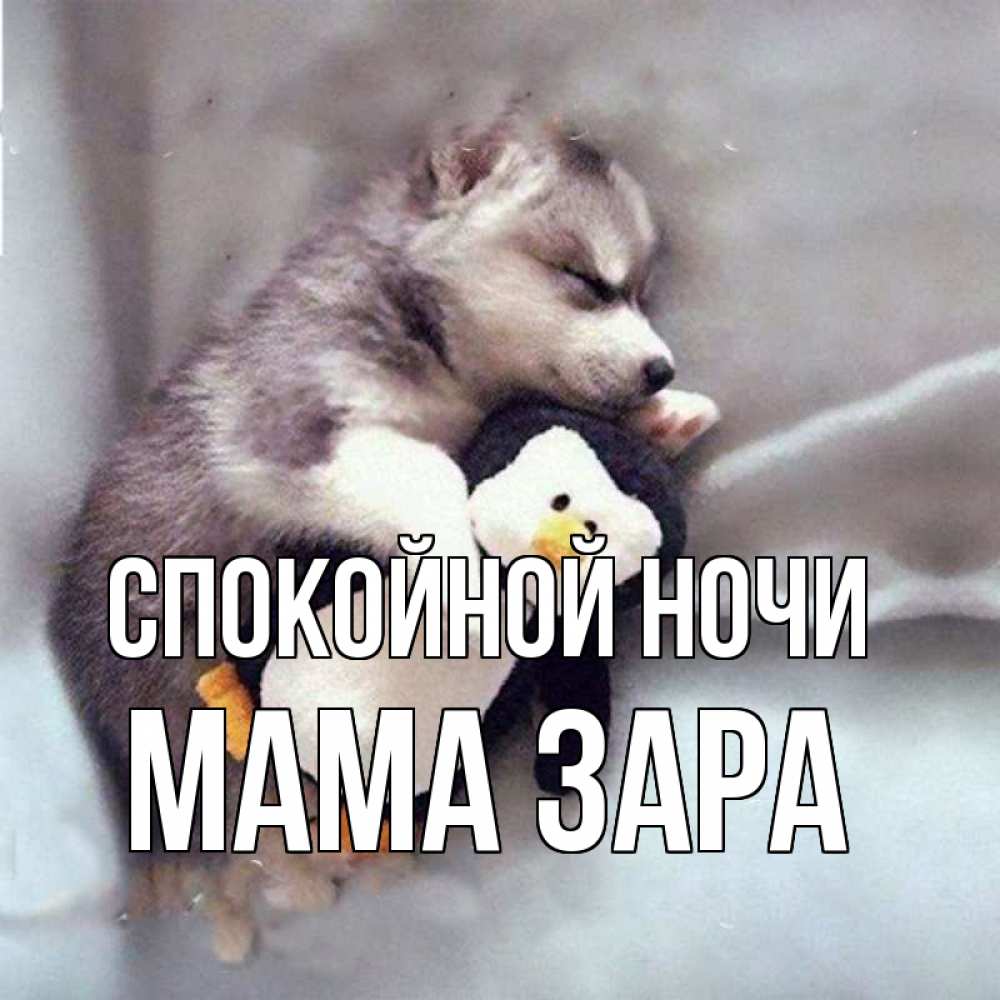 Открытка на каждый день с именем, Мама-Зара Спокойной ночи обнимашки щенка и пингвина Прикольная открытка с пожеланием онлайн скачать бесплатно 