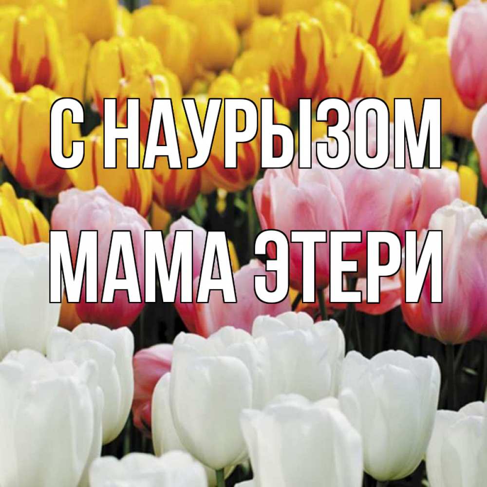 Открытка на каждый день с именем, Мама-Этери С наурызом разноцветные цветы Прикольная открытка с пожеланием онлайн скачать бесплатно 