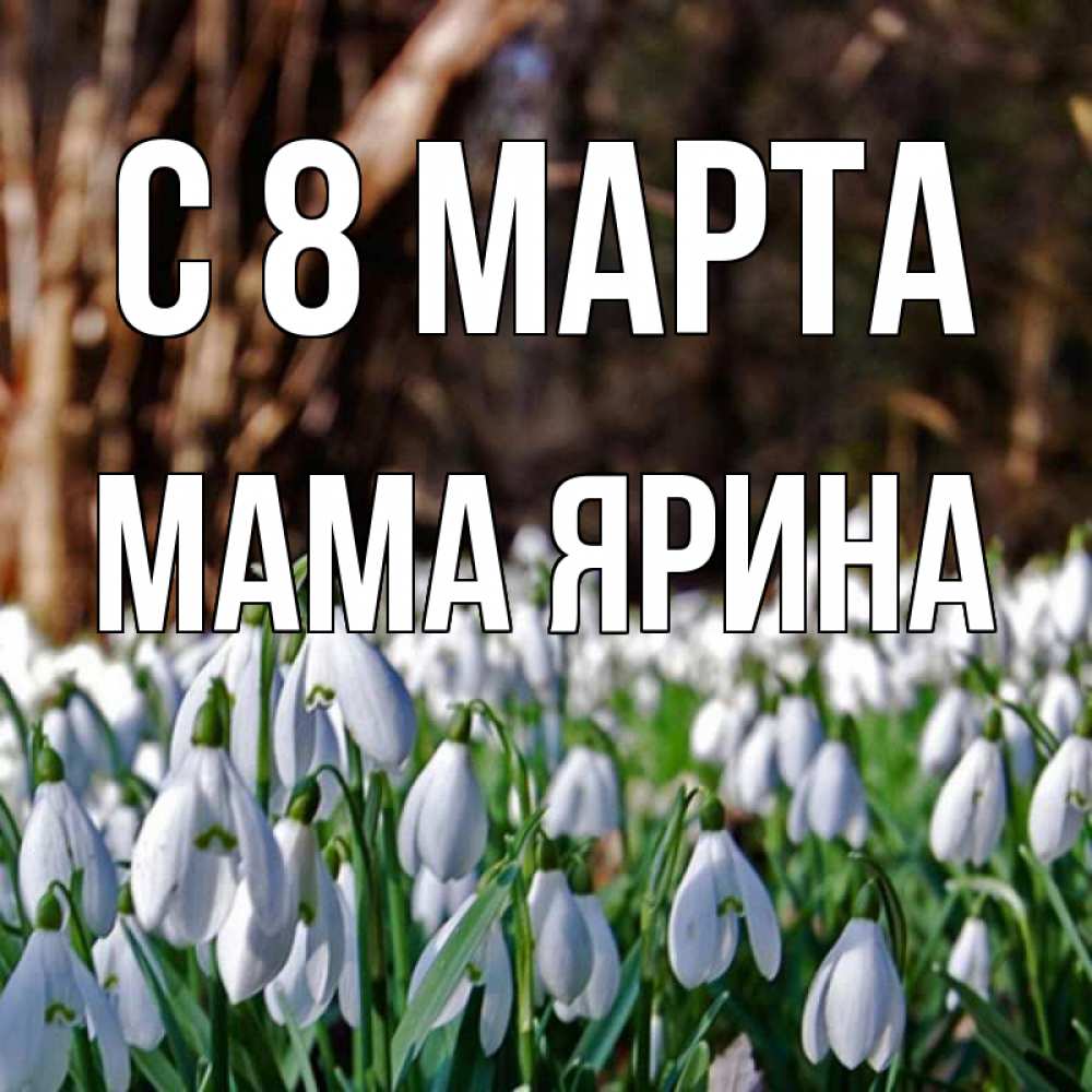 Открытка на каждый день с именем, Мама-Ярина С 8 МАРТА с подснежниками 1 Прикольная открытка с пожеланием онлайн скачать бесплатно 