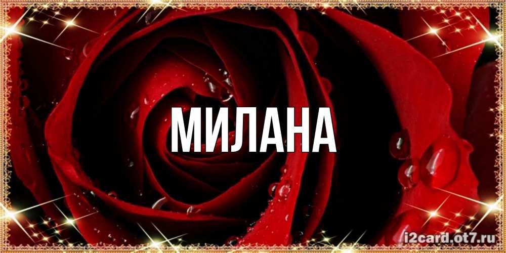 Открытка на каждый день с именем, Милана Главная цветок в росе на день рождения Прикольная открытка с пожеланием онлайн скачать бесплатно 