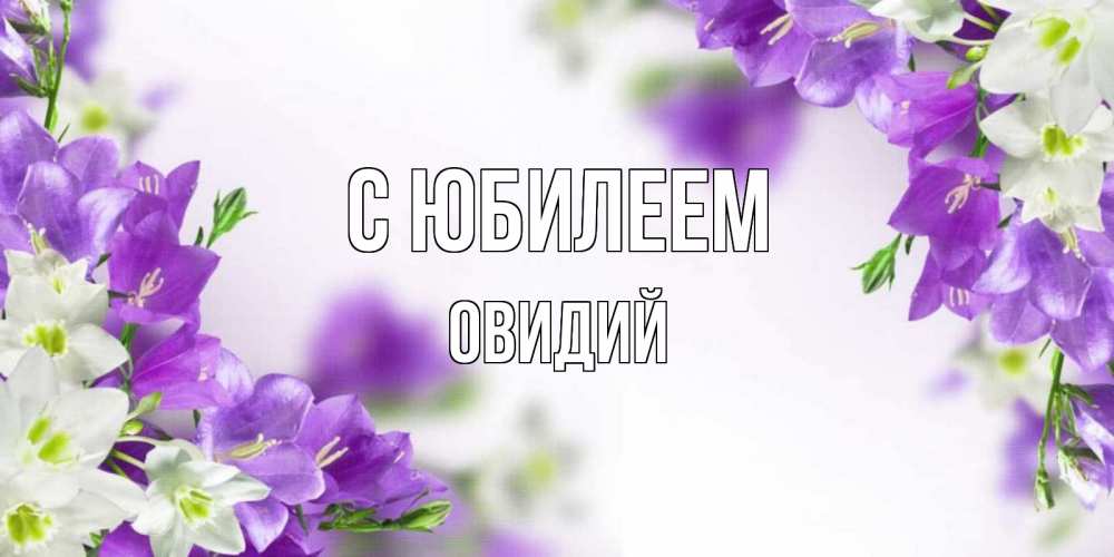 Открытка на каждый день с именем, Овидий С юбилеем открытка на день рождения с сиреневыми цветами Прикольная открытка с пожеланием онлайн скачать бесплатно 