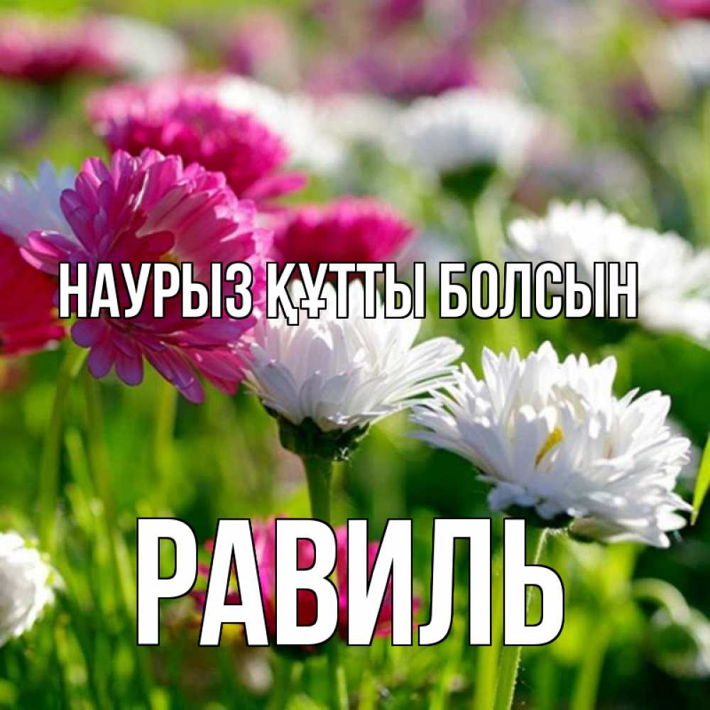 Открытка на каждый день с именем, Равиль Наурыз құтты болсын наурыз Прикольная открытка с пожеланием онлайн скачать бесплатно 