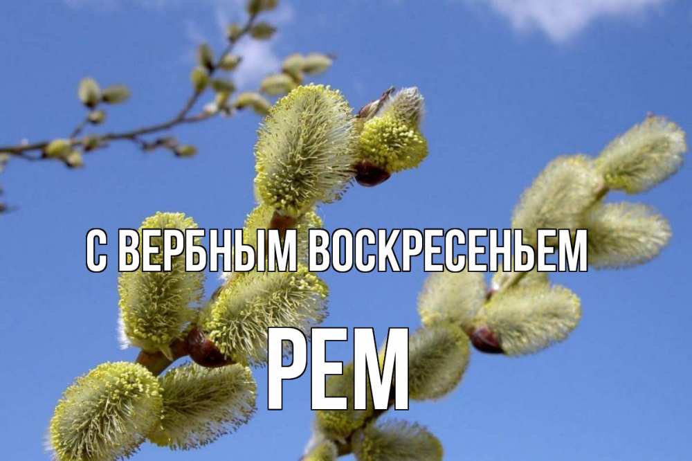Открытка на каждый день с именем, Рем С вербным воскресеньем верба Прикольная открытка с пожеланием онлайн скачать бесплатно 