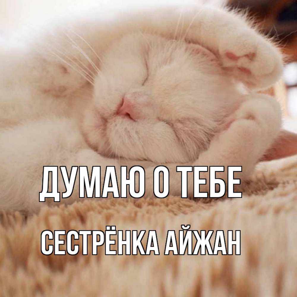 Открытка на каждый день с именем, Сестрёнка-Айжан Думаю о тебе для любимой девушки милота Прикольная открытка с пожеланием онлайн скачать бесплатно 