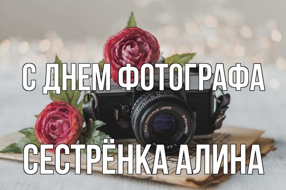 Открытка на каждый день с именем, Сестрёнка-Алина С днем фотографа с днем фотографа Прикольная открытка с пожеланием онлайн скачать бесплатно 