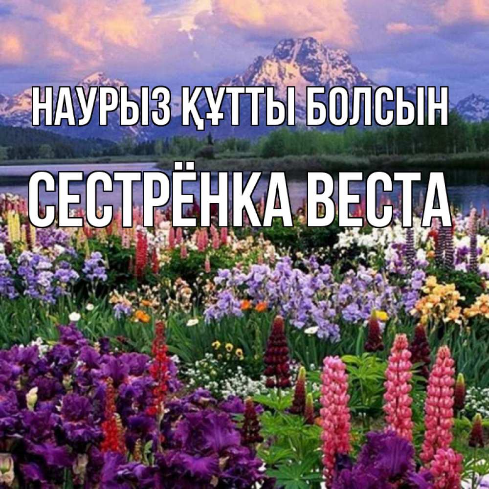 Открытка на каждый день с именем, Сестрёнка-Веста Наурыз құтты болсын наурыз Прикольная открытка с пожеланием онлайн скачать бесплатно 