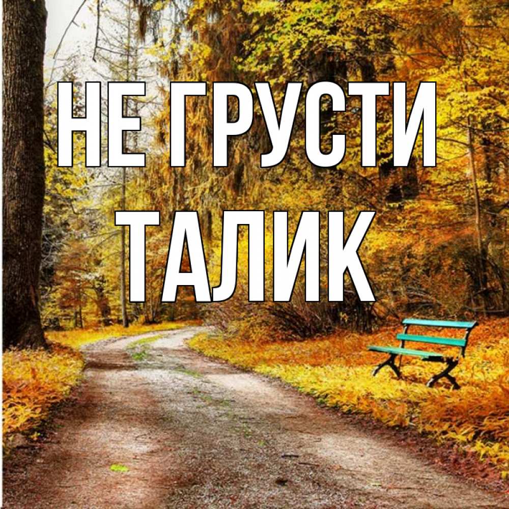 Открытка на каждый день с именем, Талик Не грусти зеленая лавочка Прикольная открытка с пожеланием онлайн скачать бесплатно 