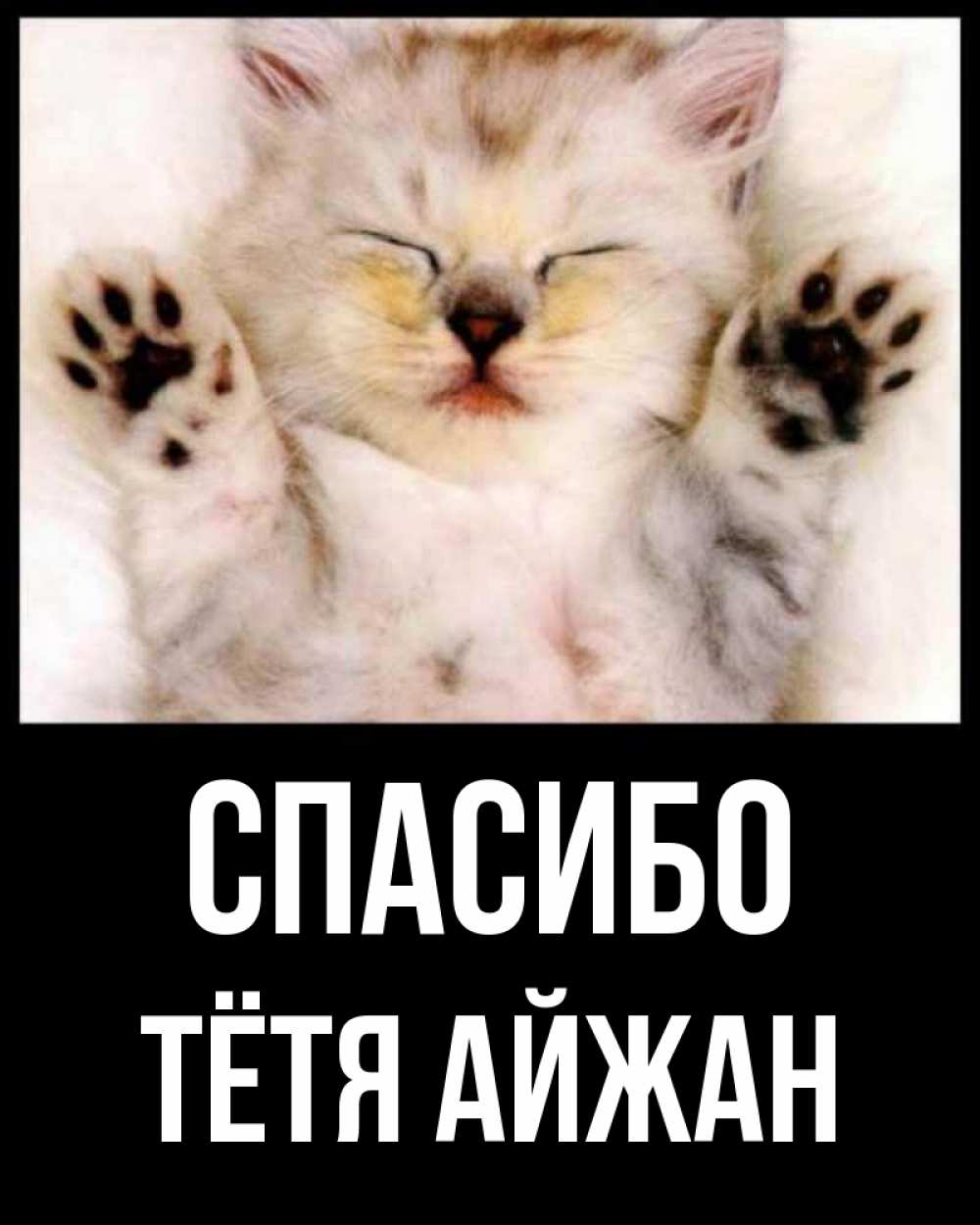 Открытка на каждый день с именем, Тётя-Айжан Спасибо маленький котенок Прикольная открытка с пожеланием онлайн скачать бесплатно 
