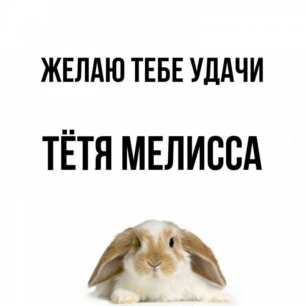 Открытка на каждый день с именем, Тётя-Мелисса Желаю тебе удачи открытки с произвольным текстом который можно вставить в открытку и создать ее самостоятельно бесплатно онлайн Прикольная открытка с пожеланием онлайн скачать бесплатно 