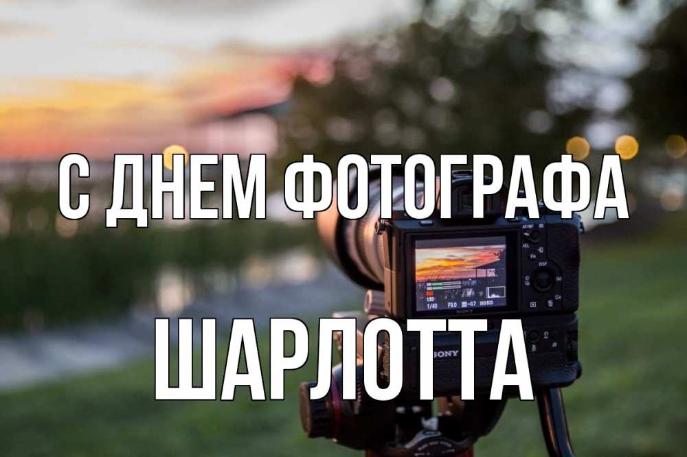 Открытка на каждый день с именем, Шарлотта С днем фотографа с днем фотографа Прикольная открытка с пожеланием онлайн скачать бесплатно 