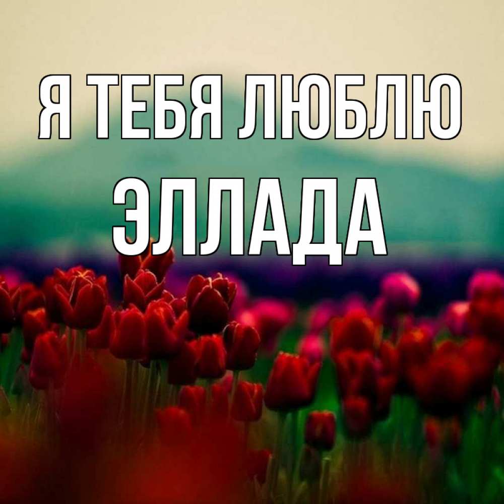 Открытка на каждый день с именем, Эллада Я тебя люблю тюльпаны 4 Прикольная открытка с пожеланием онлайн скачать бесплатно 