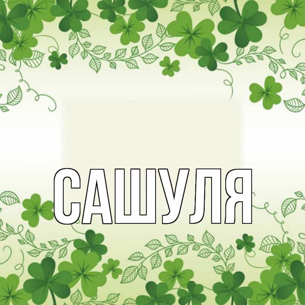 Сашуля картинки с именем