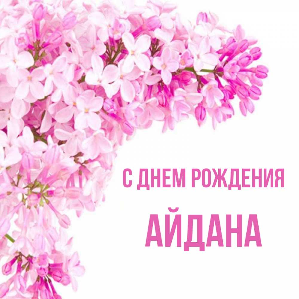 Открытка на каждый день с именем, Айдана С днем рождения Сирень на белом фоне Прикольная открытка с пожеланием онлайн скачать бесплатно 