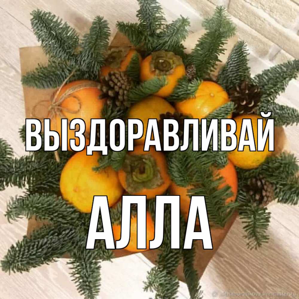 Открытка на каждый день с именем, Алла Выздоравливай апельсины и хурьма Прикольная открытка с пожеланием онлайн скачать бесплатно 