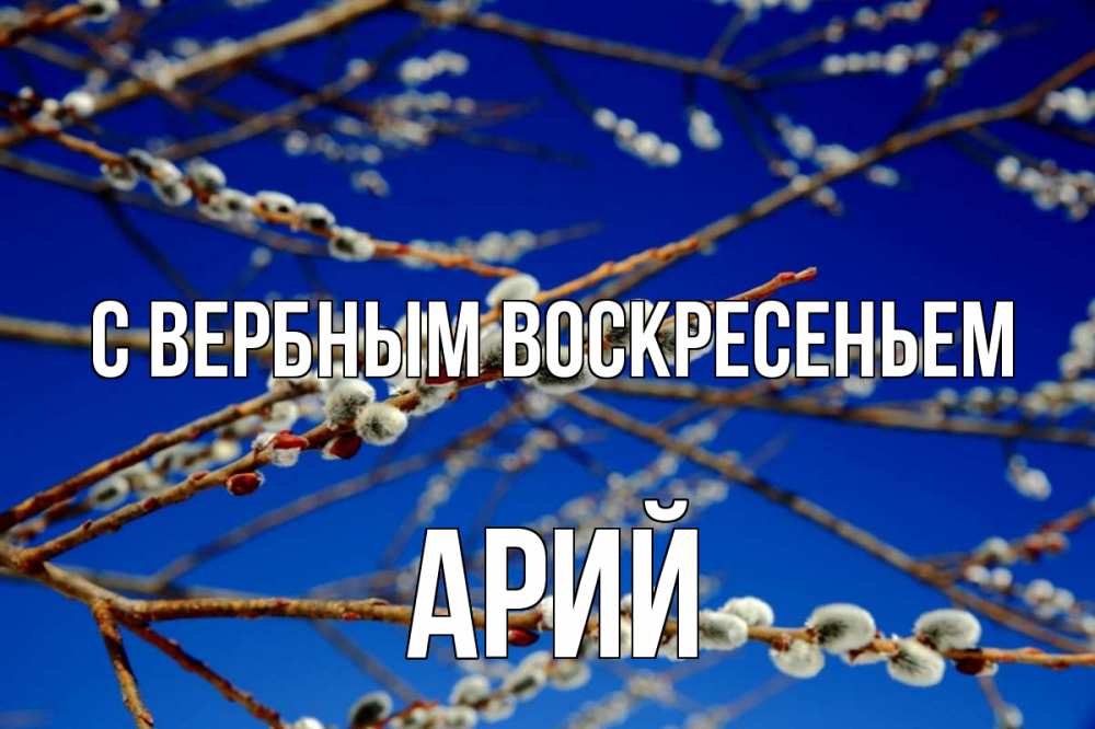 Открытка на каждый день с именем, Арий С вербным воскресеньем верба Прикольная открытка с пожеланием онлайн скачать бесплатно 