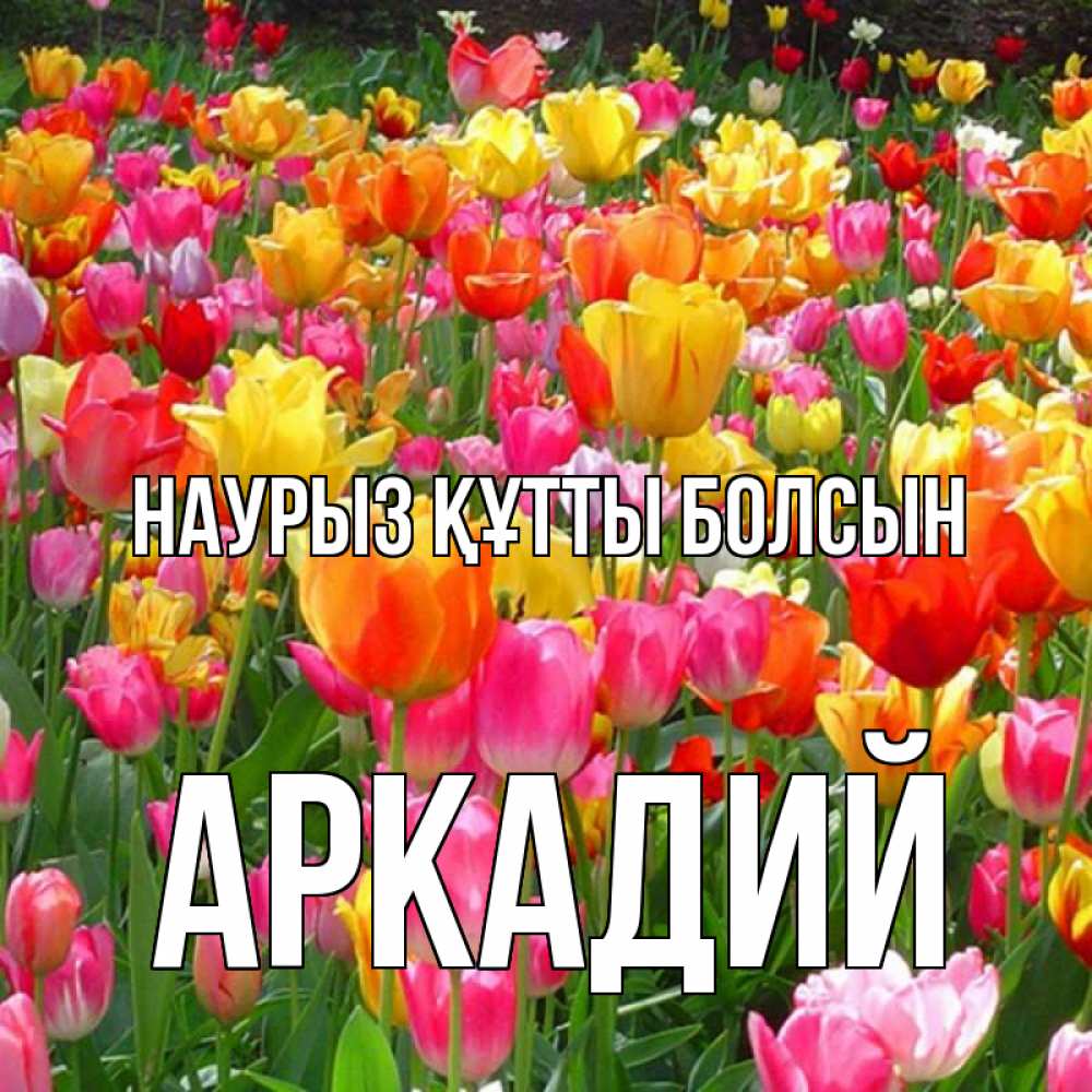 Открытка на каждый день с именем, Аркадий Наурыз құтты болсын на наурыз  ура ура Прикольная открытка с пожеланием онлайн скачать бесплатно 